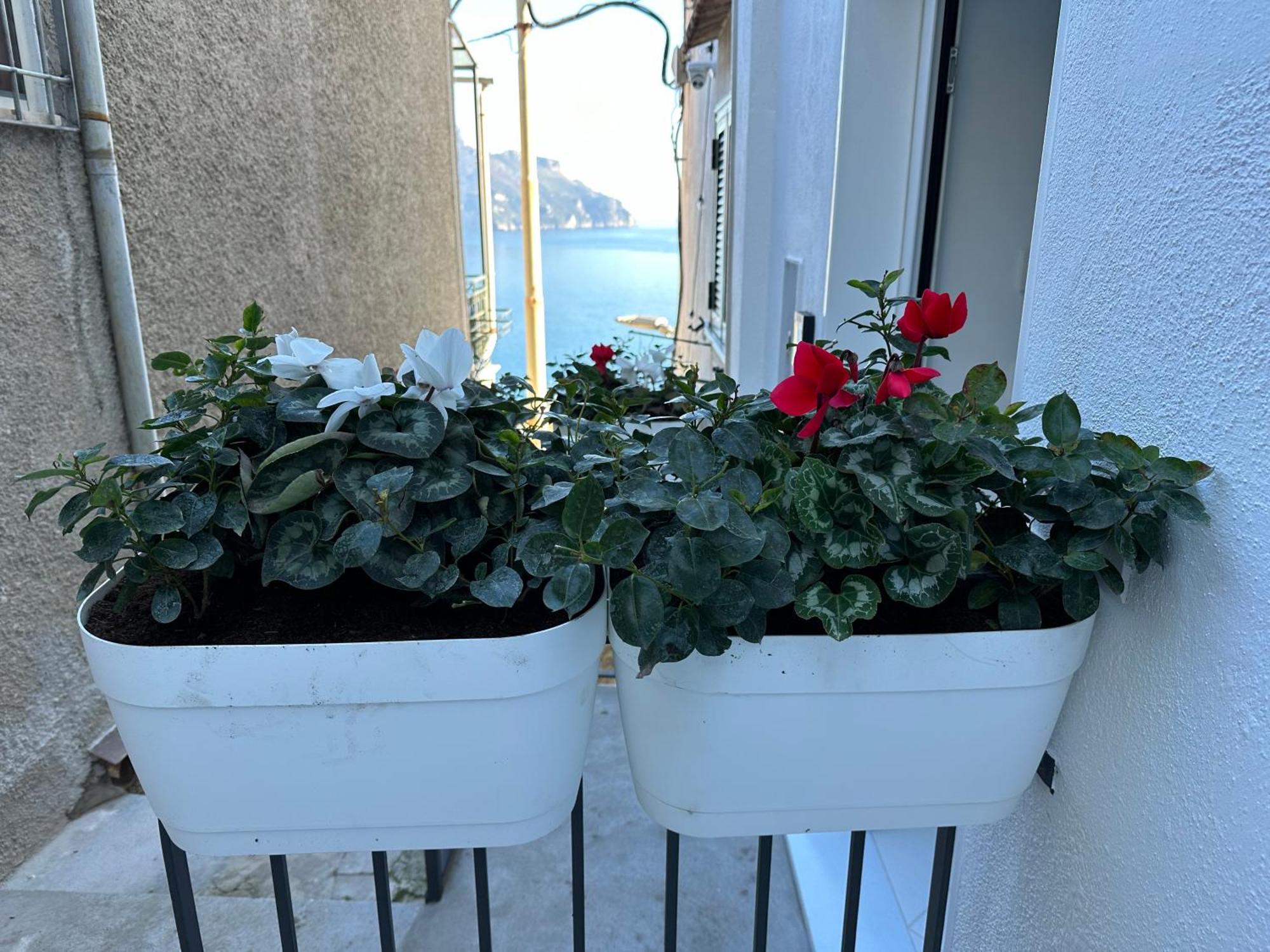 Ravello Suite Eksteriør bilde